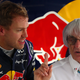Illustration for article titled Of Course Bernie Ecclestone Is The Only One Cool With A Smaller F1 Grid
